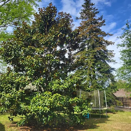 Maison Moderne 180 M2, A 10 Min Du Circuit Des 24h Du Mans *